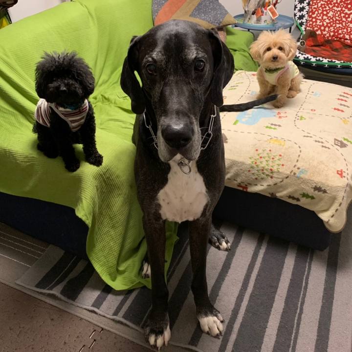 Bf66111b ac1f 4d3c b920 ea547076d477 1558391896120