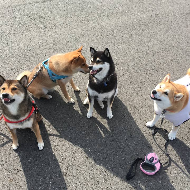 Bf665fd4 f536 4081 8e44 7bf102414bea 1539914633700