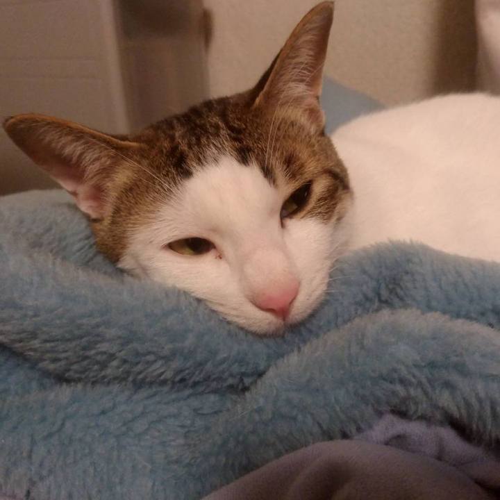 Bf6675ef d9c2 4f81 af28 275107faabc3 1678792657439