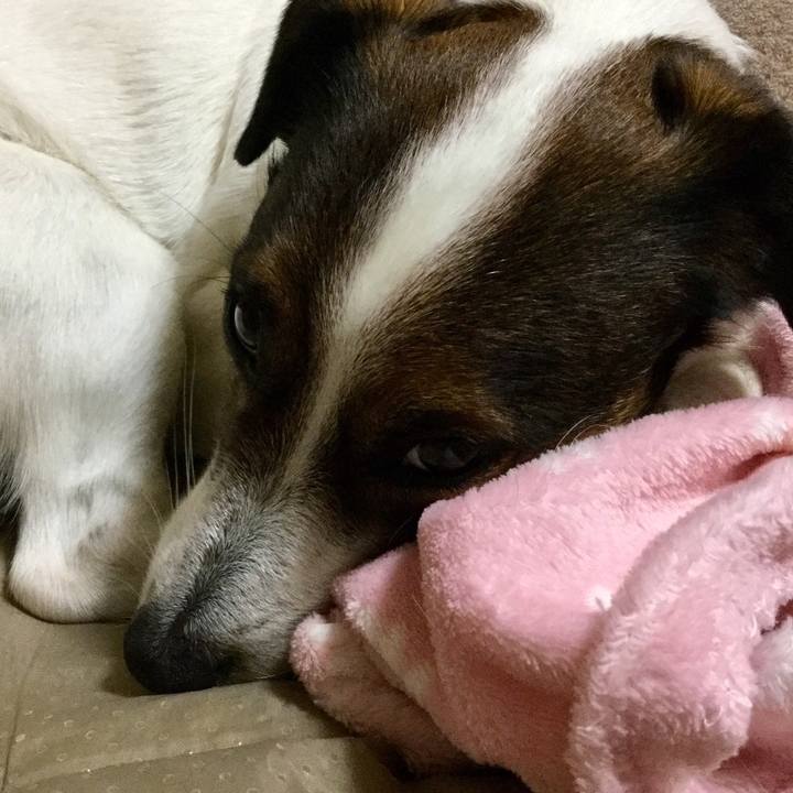 Bf66d99b 1af5 433c b743 07adcde3c816 1553598114760