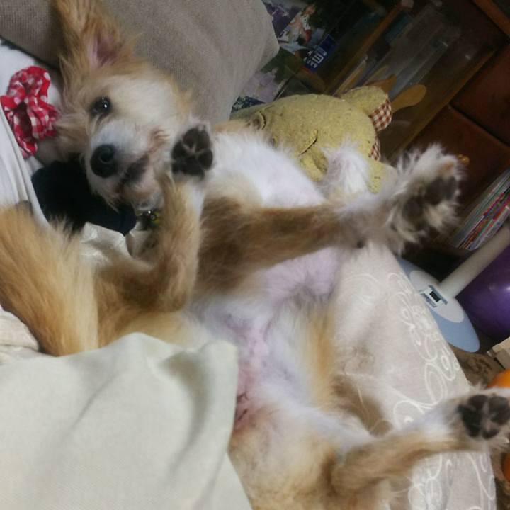 Bf66db15 8679 452e 8ab8 29b569d5fec8 1509088065185