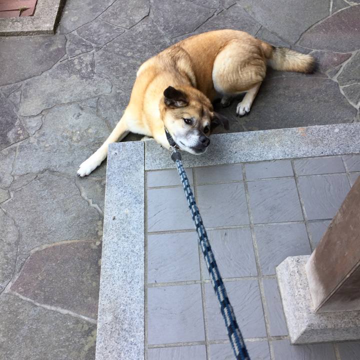 Bf6730ca a72f 4fb9 8797 f4969a708b46 1524982254686