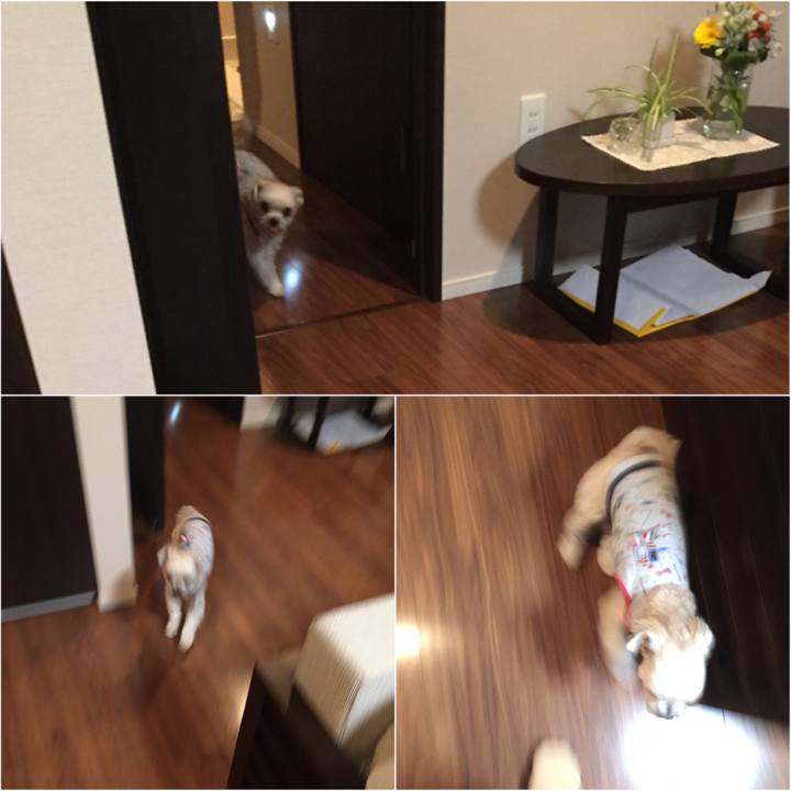 Bf673cef 3723 4f77 8957 abd9b4284969 1547810178830