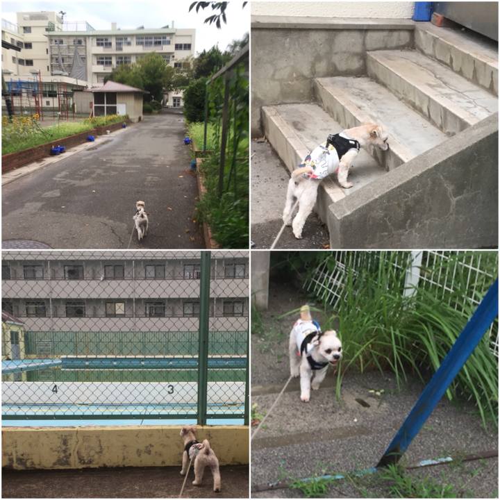 Bf674105 b707 4515 badb 2606d43a3d15 1533986596714