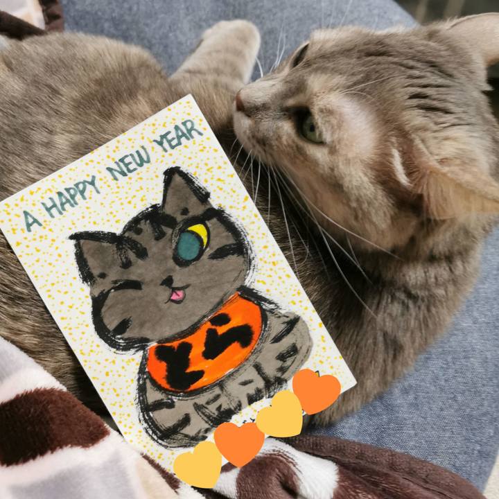 Bf674683 4ed5 4aed 9988 3f51fadbb7d0 1642085322011