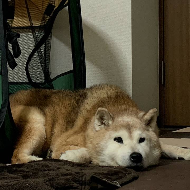 Bf6762cb 53e9 4798 a349 e5efdfb240dc 1696085913860