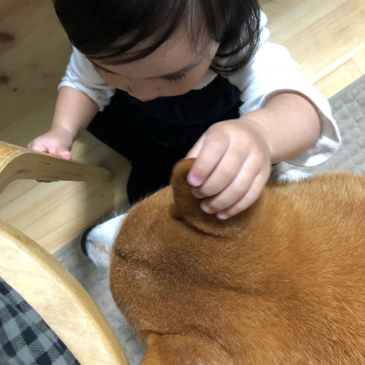 Bf677534 94dc 4a4d 9b53 d7ab82bf43f2 1540699221310