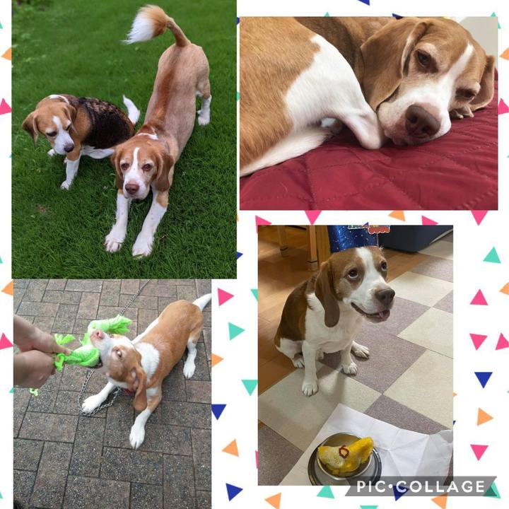 Bf67a338 12d0 4602 976f c894cf3e75c2 1629894587959