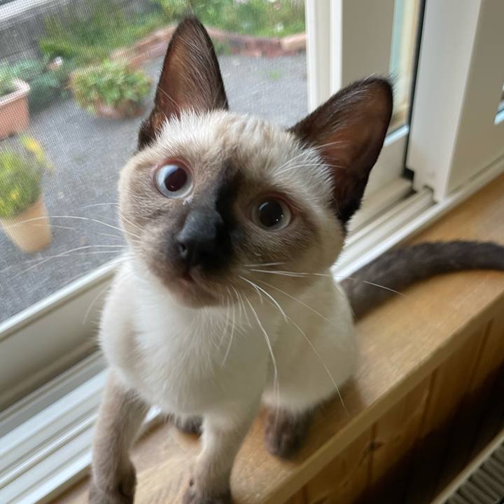 Bf67c9be 98a3 4a32 a48a f9d7ce421545 1691784531794