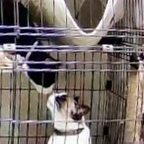 Bf67d51b bbea 476a a08f 866625104a10 1745352330243