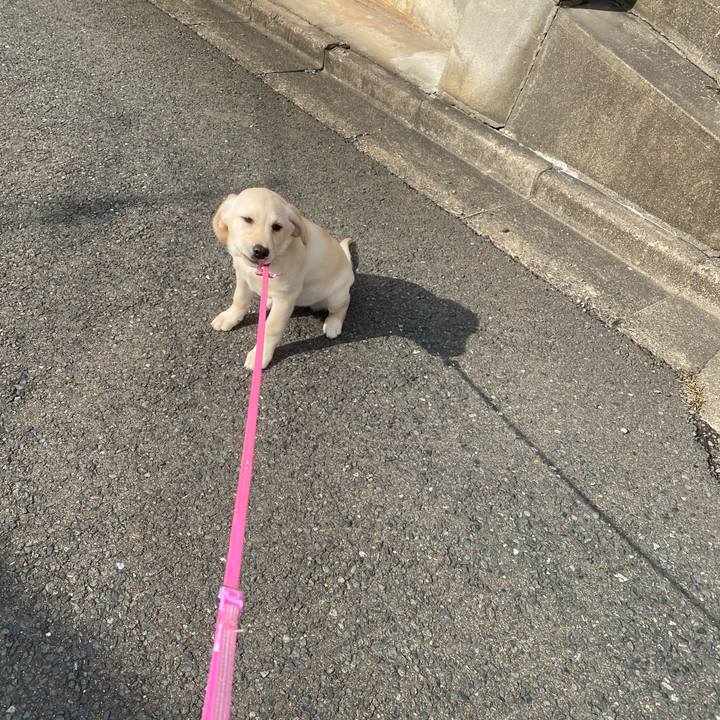 Bf67e59d 4471 48e1 bacc 0b5bdff7be03 1613368337749