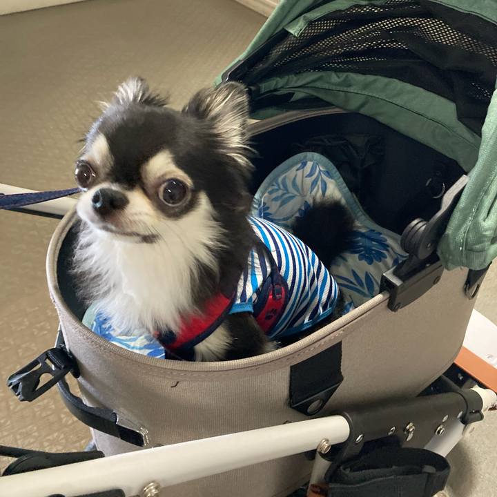 Bf67f894 95b3 4284 9623 4712fa36e518 1696170997369