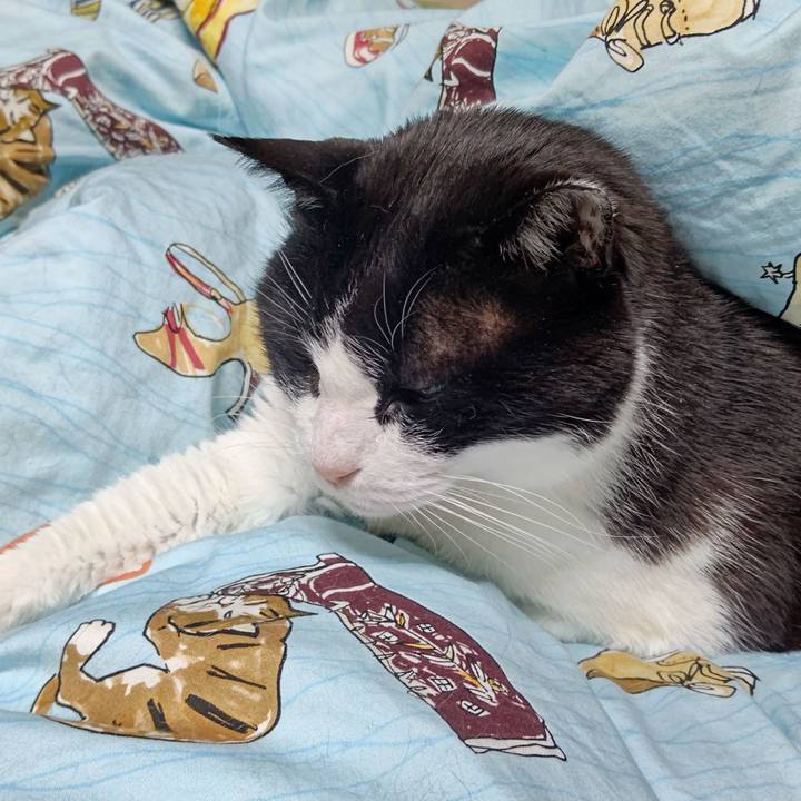 Bf6801b5 1e8f 46da b47c cebe139847a3 1650461153834