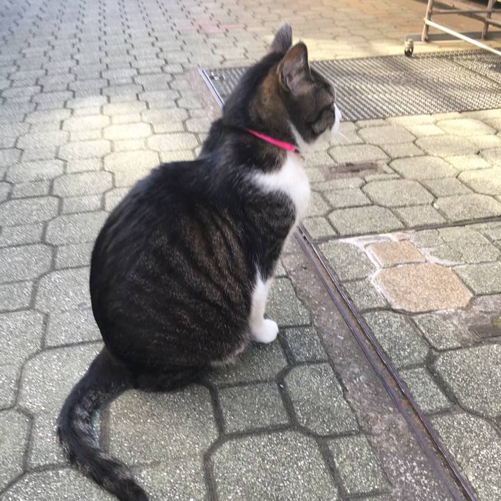 Bf68551b 1f70 4569 8ed0 ab4282abc945 1526800882148