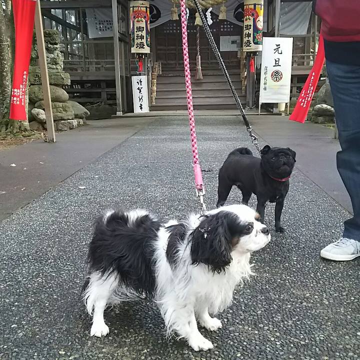 Bf686400 d7ae 4ce5 8f95 4aaa81bfce15 1546318538079