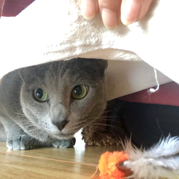 Bf68a0d8 a7ae 41c3 a887 3c2d3ca4d9f9 1614595334224