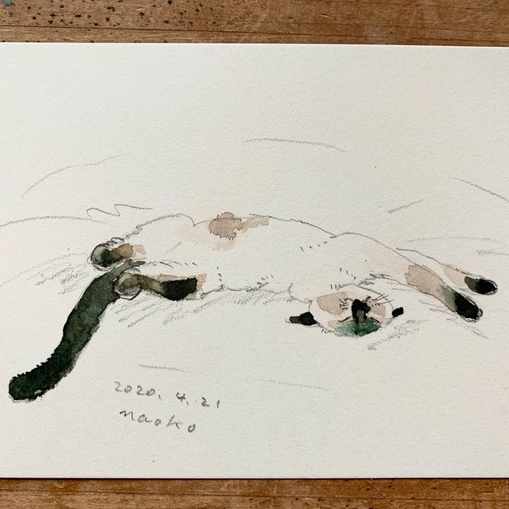 Bf68bf1e a2b6 4600 be30 5b6a7573f826 1587450233180