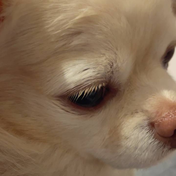 Bf696982 bdca 4e81 acc3 6046ab657284 1733921059633