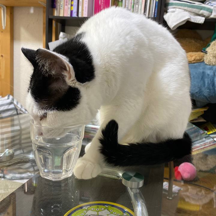 Bf699999 5891 4798 8e5f d9567d945092 1696166897201