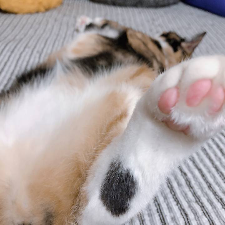 Bf69d103 9776 48ac 9bb3 389c53d47947 1569850672314