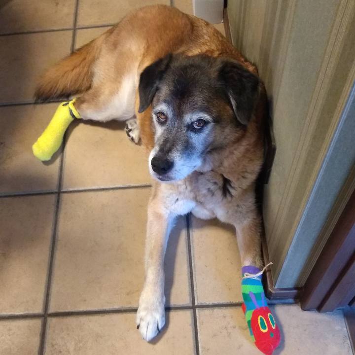 Bf69d8c5 9a29 4053 b0c0 80bebbc77ed6 1563162580717