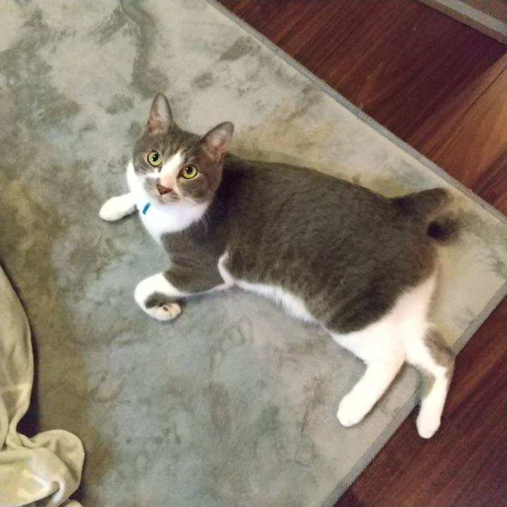 Bf69ec35 84ac 4824 a413 9403aaeab187 1643721413087