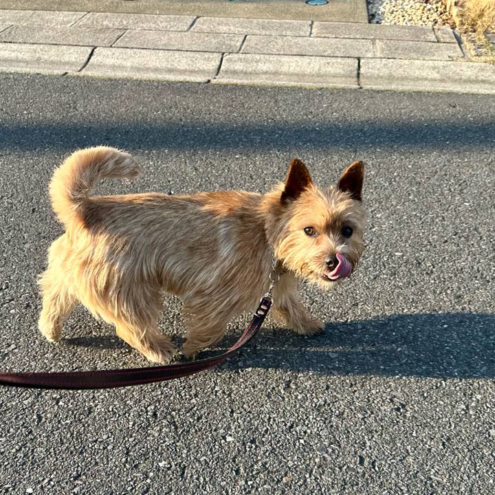 Bf69f03c ec9c 442b 9ecc b89ebd0df373 1744229027726