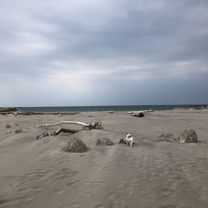 Bf6a182b 7d0b 43e5 84cf f8dea02f43a8 1587860476346