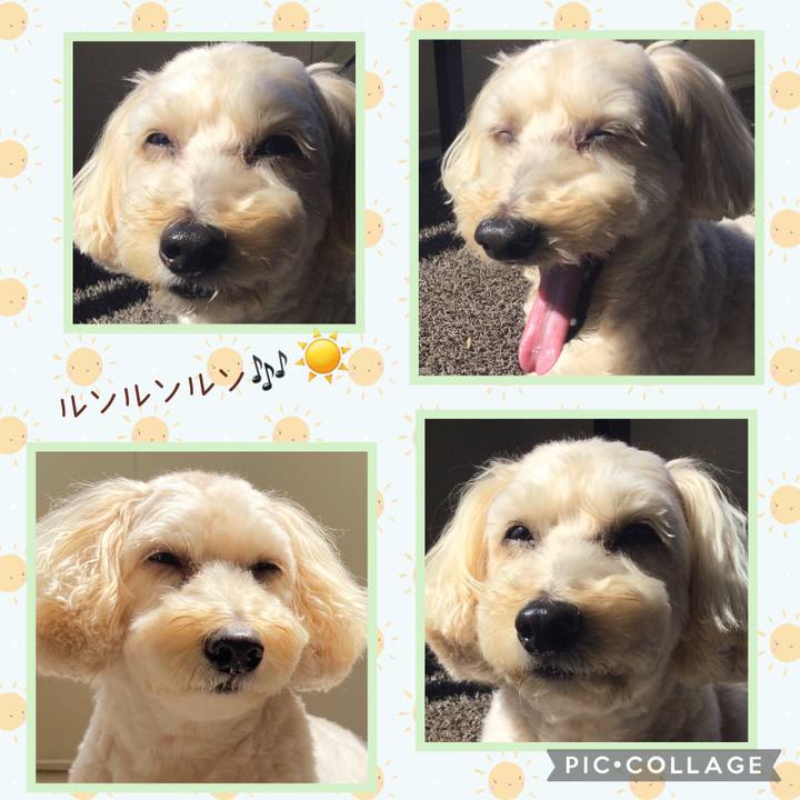 Bf6a374a 3b24 49a2 b504 e29f54014632 1691815949836