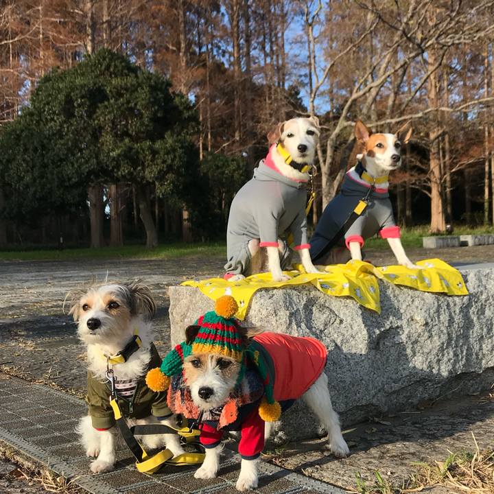 Bf6a3e4b 00fc 4387 9adb 5970780021e7 1765374699110