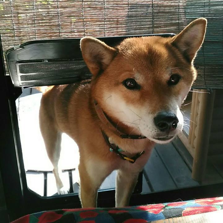 Bf6a65ad c911 45b8 abbc a75d7dc2fb67 1543381251672