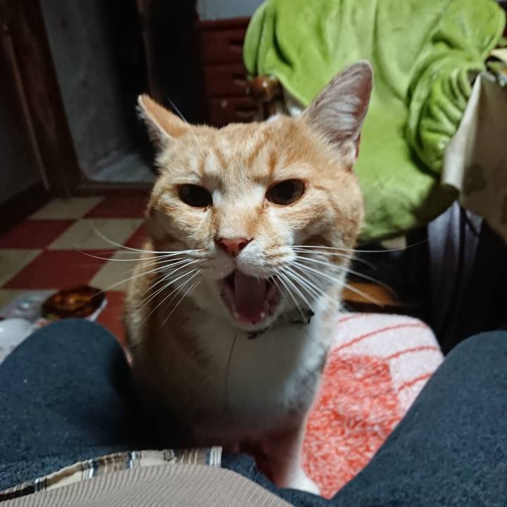 Bf6a96b7 0f5b 452c af14 b40c58a902d1 1588103515634