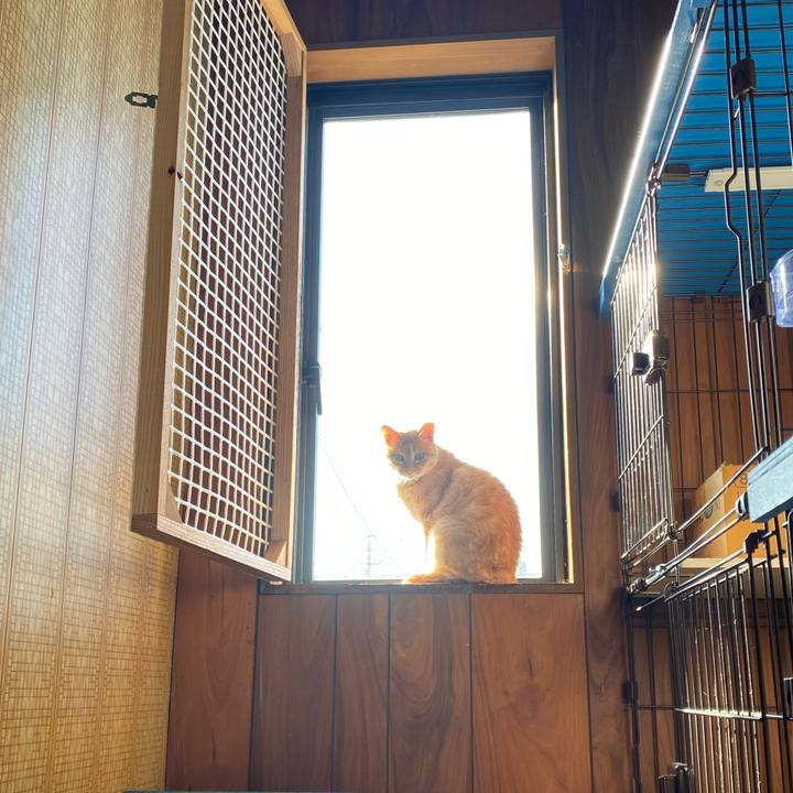 Bf6ac1fc 4b12 49fc 8c4b 75edb7306626 1733022765257