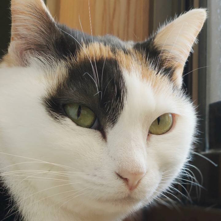 Bf6b050e 6c72 40d1 8ed8 05eea4a279df 1554172130973