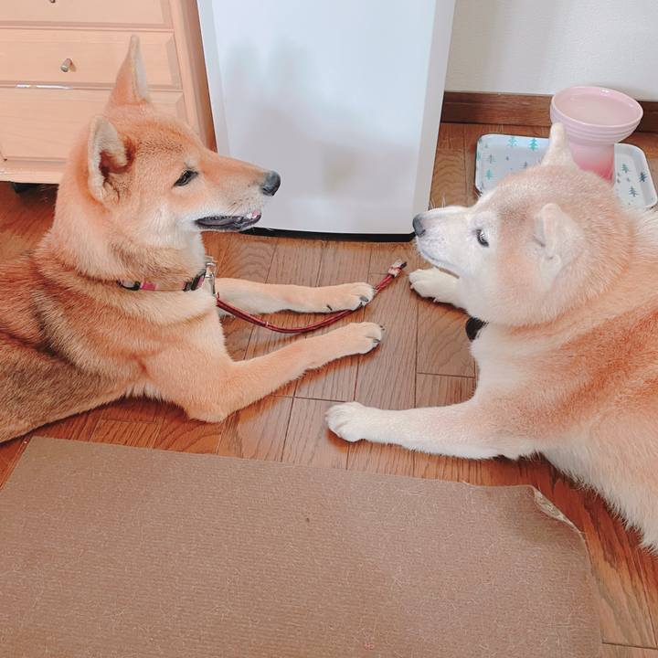 Bf6b25b1 d601 4871 9b9b 030bce7fb22f 1662103867139