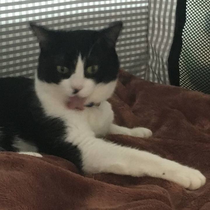 Bf6b46c7 ba24 4cca a85f fcedf63984d8 1540901634901