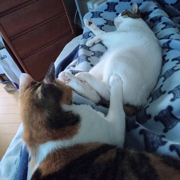 Bf6b5380 4304 4abf 90c2 b81a3c8c171a 1725453164184