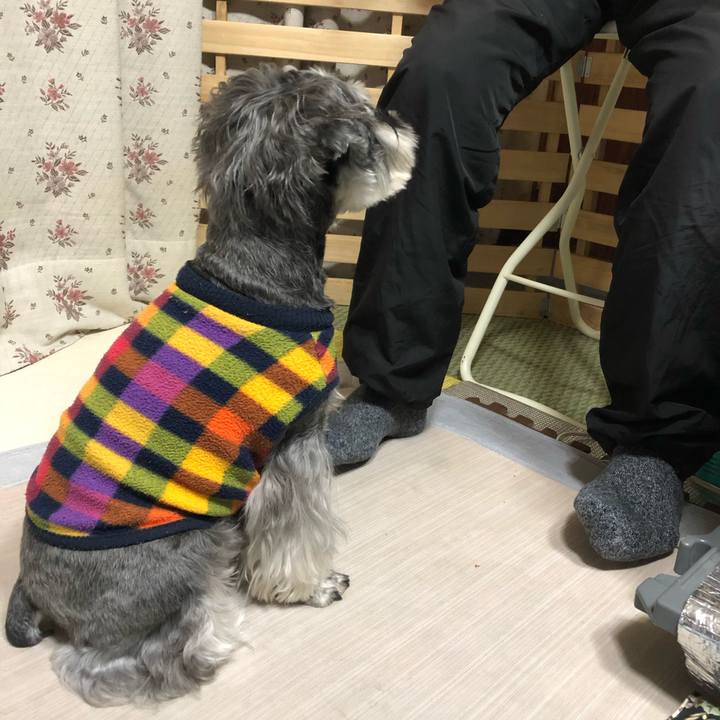 Bf6b69f1 3e1d 4bb4 8812 e4c1a1238320 1643028463167