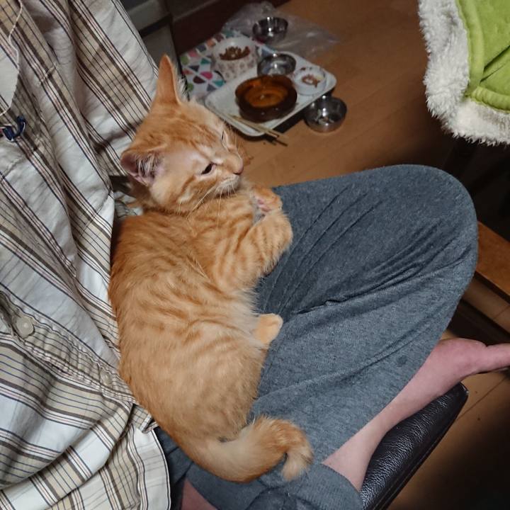 Bf6b8457 5f1b 490c b5ef 1472992e2874 1632133372587