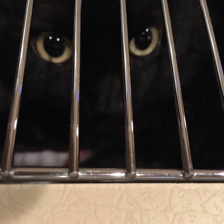 Bf6b8db8 cfa5 4daa bcb9 f36f326da0f2 1519292327184