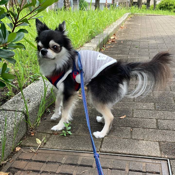 Bf6bbd2a f641 439c ab1d 262f7d3957a3 1717257445372