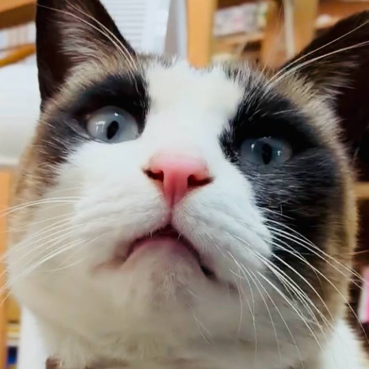 Bf6bc75d ead9 46bc 8803 59cc058cc375 1770606267880