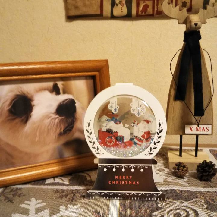 Bf6bd570 1b91 4532 897c 9e75375c96c2 1608826733602