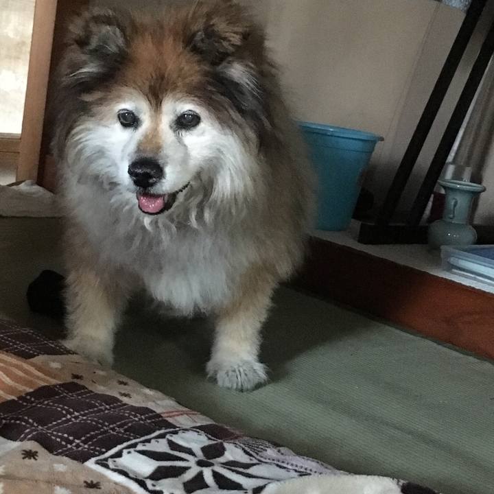 Bf6c1aa2 efe5 4995 ac1b a1e156ba5dc2 1598083955994