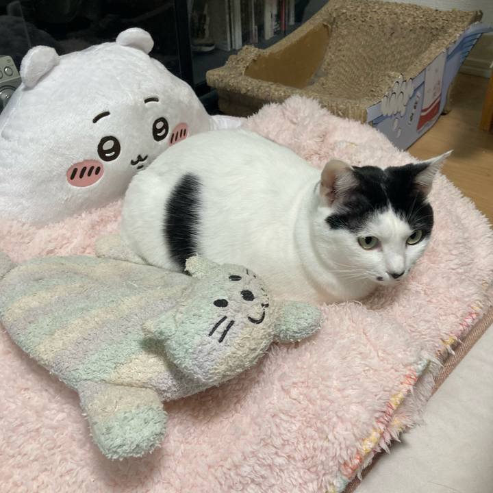 Bf6c1be9 6071 459f b89f 813abce3d2ef 1765106408274