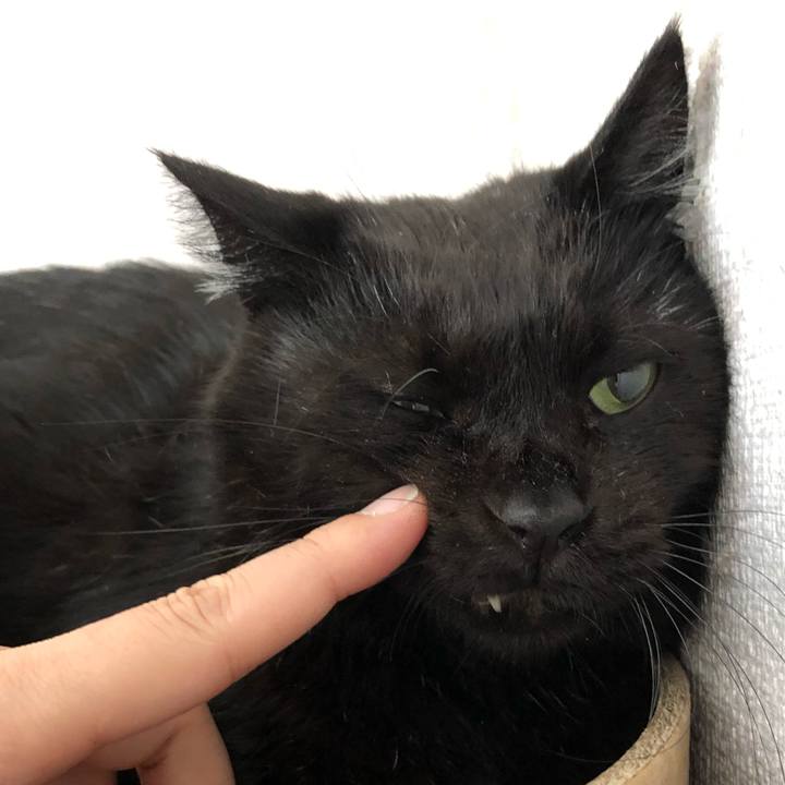 Bf6c431e e515 4b9a ae03 2180eba13d13 1566698381068