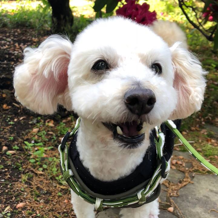 Bf6c6e35 eaba 486e 9105 9733dcc7d4fd 1525260770075