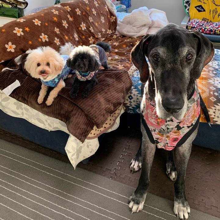 Bf6cb2e3 fdaa 4996 831a f62b2024ec8b 1608504365768