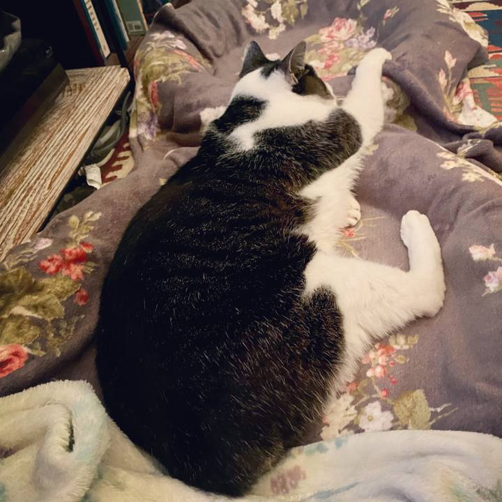 Bf6d0bb8 bcf4 4254 b76f 46c2d63a6f70 1608383717065