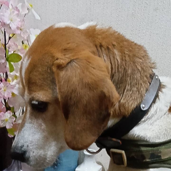 Bf6d2757 bdb6 4a95 ae32 155637599c80 1742022757051